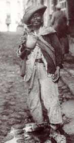 pulque image
